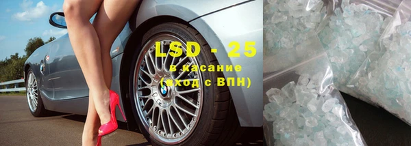 прущие грибы Навашино
