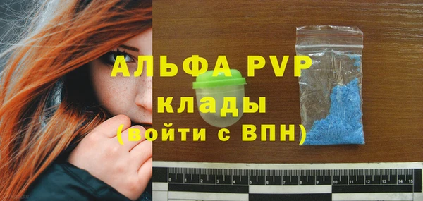 прущие грибы Навашино