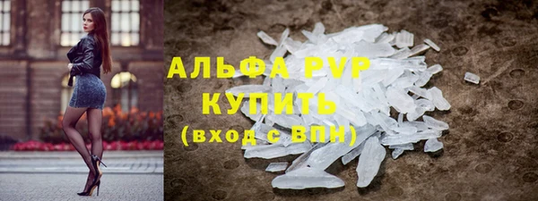 прущие грибы Навашино