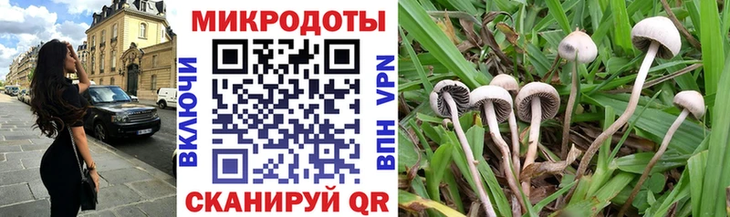 Галлюциногенные грибы Psilocybine cubensis Котово